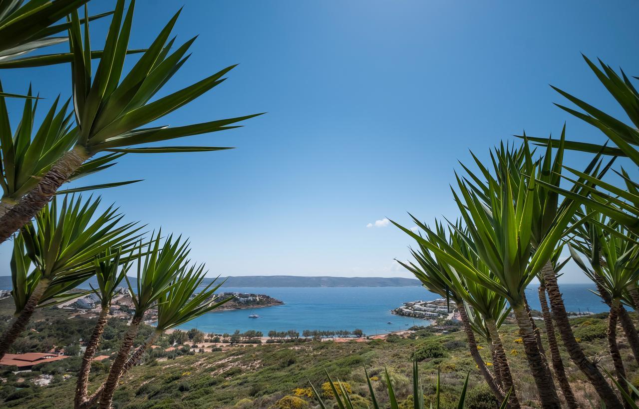 Sounio Villa سونيو المظهر الخارجي الصورة